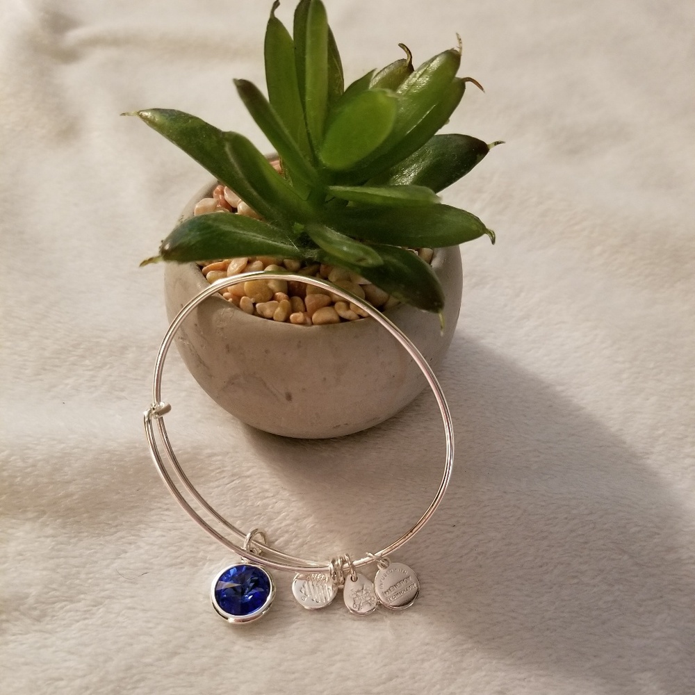 Alex and Ani Silver September Charm Bracelet